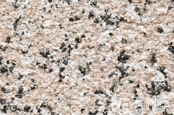 三堡红荔枝面图片