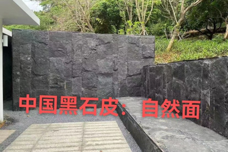 中国黑案例