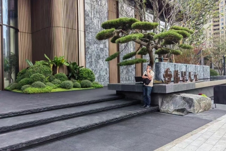 黑金沙案例