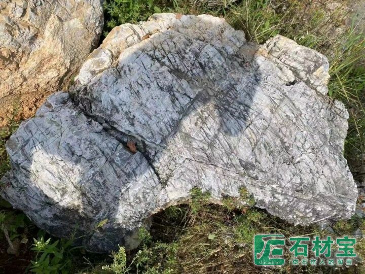 龟纹石