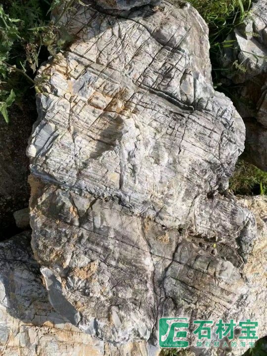 龟纹石