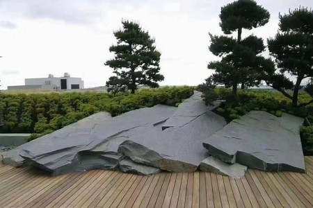 中国黑