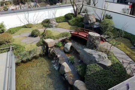 中国黑