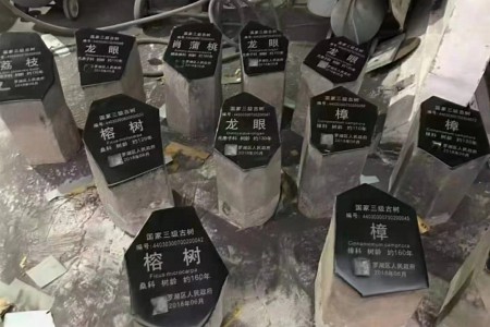 玄武黑