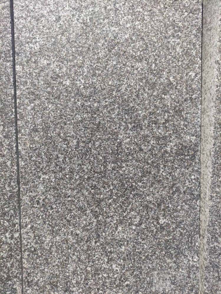 滨州青