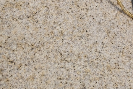 黄金麻荔枝面