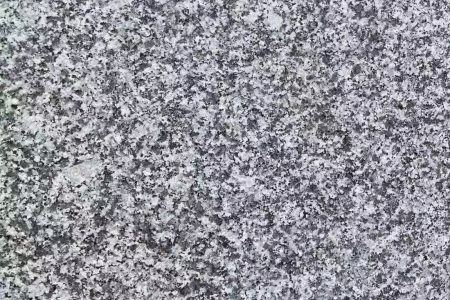 金寨芝麻黑