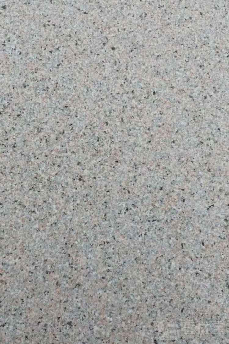 金沙红荔枝面