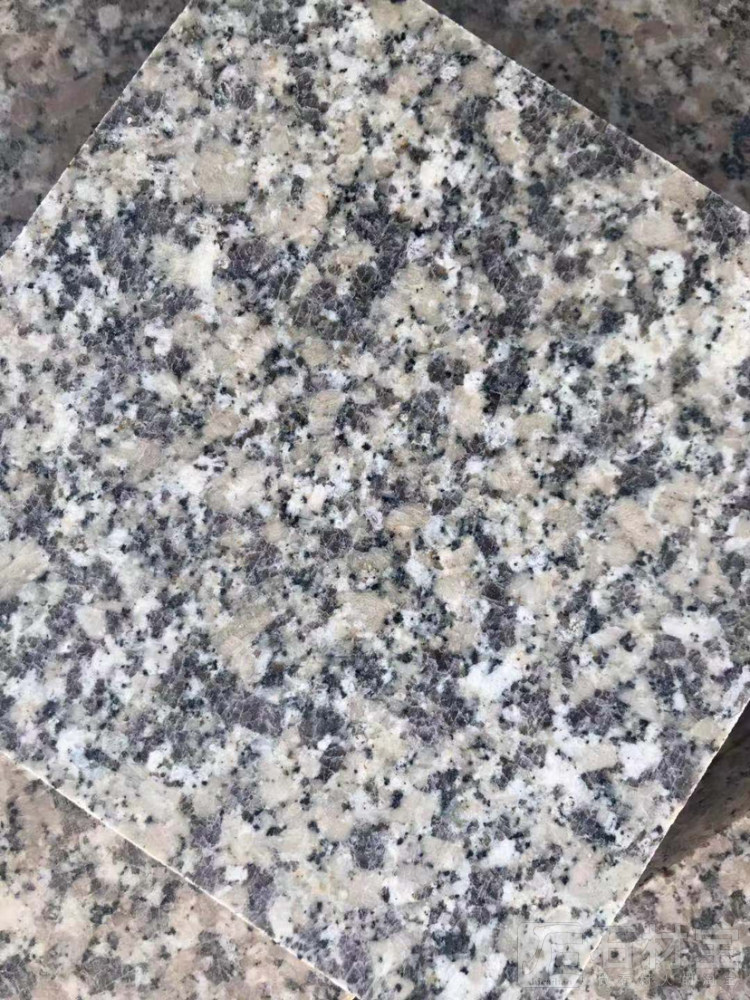 金色玫瑰，诺尔玫瑰，盘古金，阿拉善黄，阿拉善红
