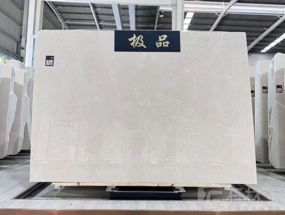极品白玉兰