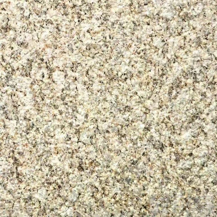 黄金钻荔枝面