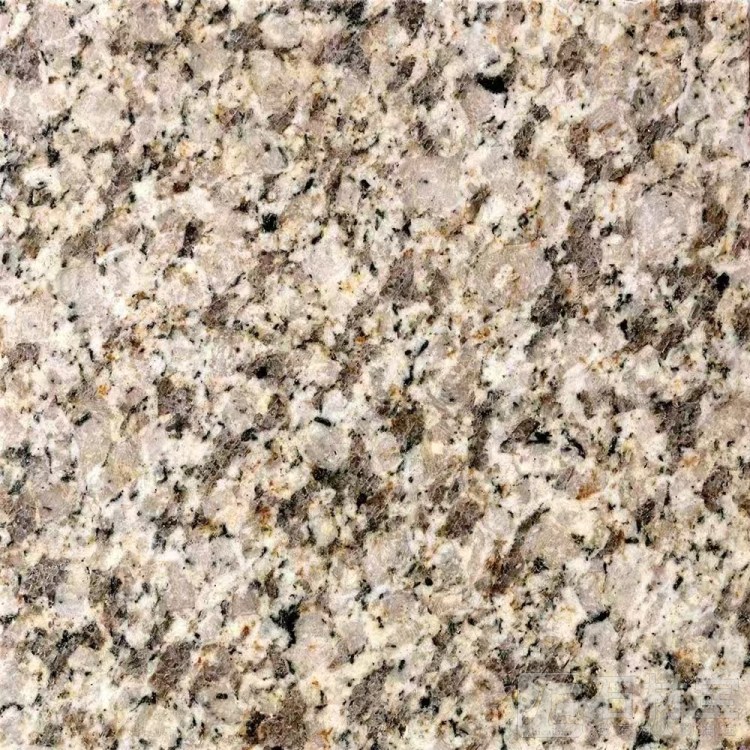 黄金钻火烧面