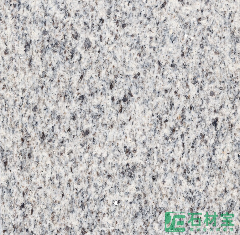 新疆晶点白麻(新疆金点白麻)
