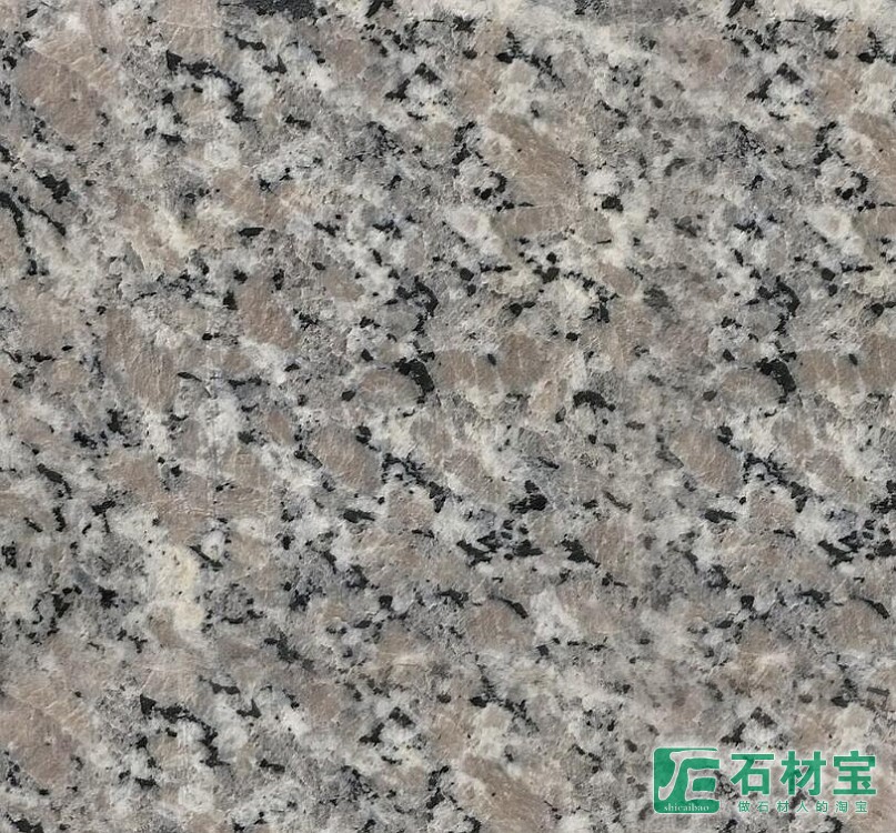 富丽红