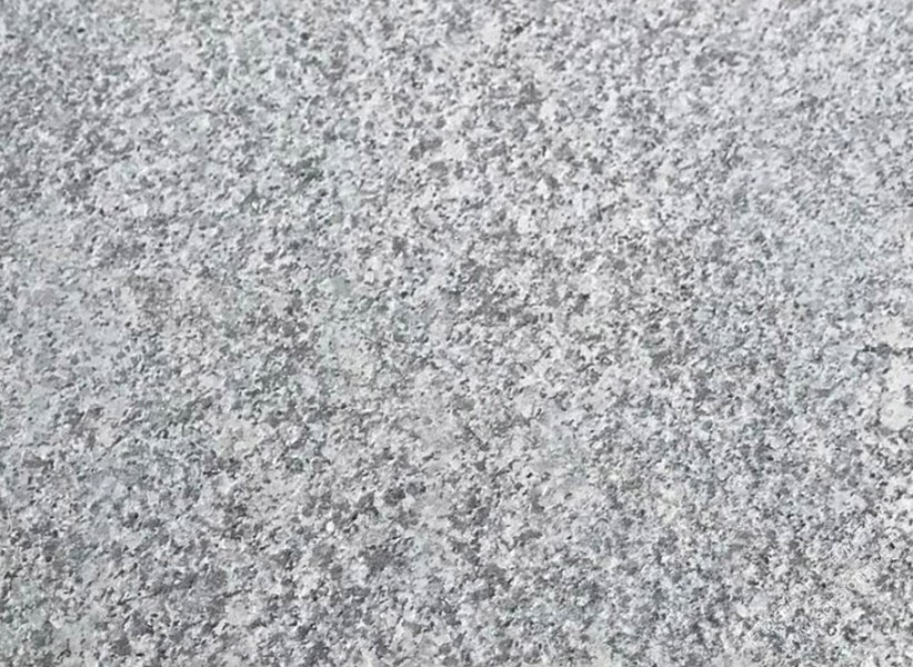 芝麻白603(廉江白) 火烧面