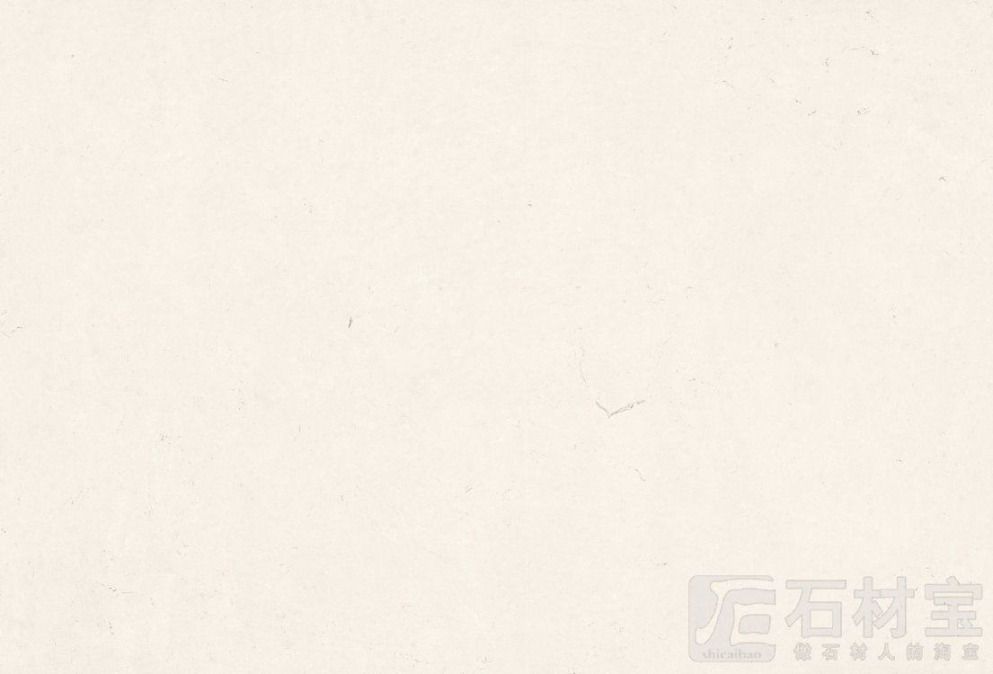 超级白玉兰