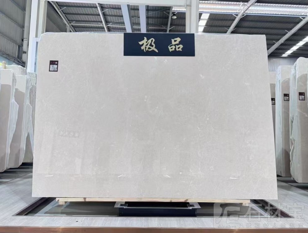 极品白玉兰