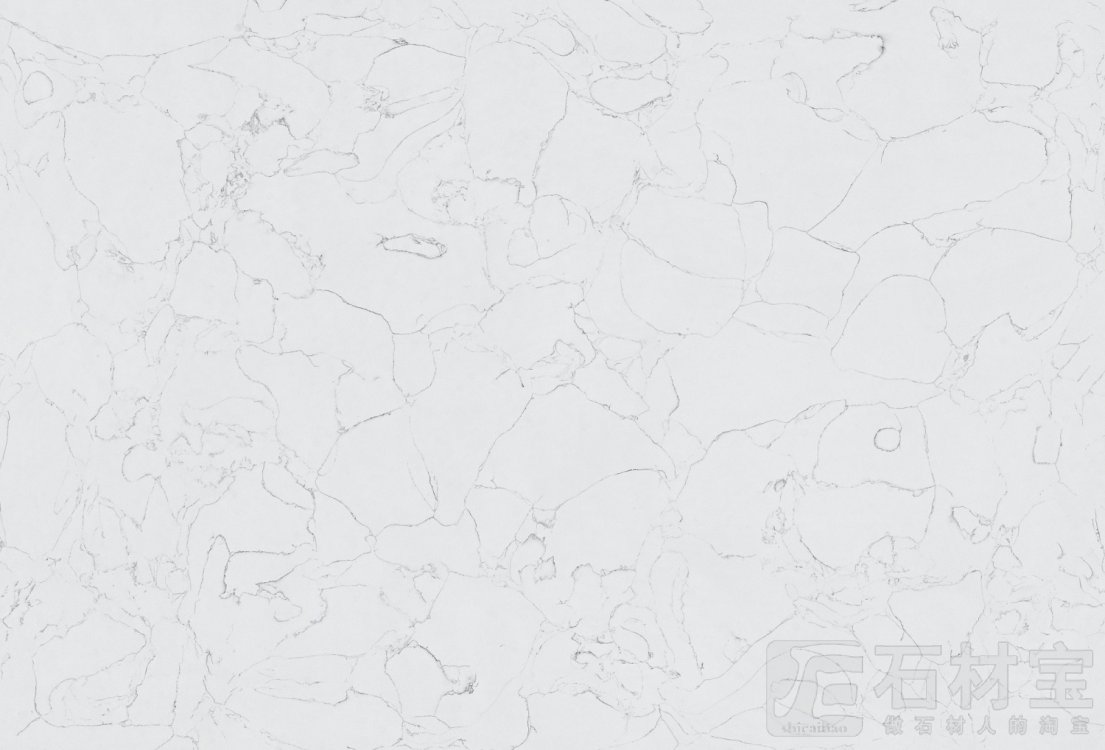 网纹白1号