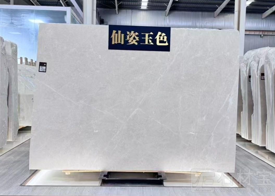 极品白玉兰