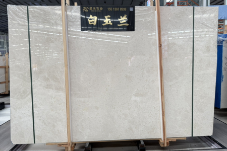 白玉兰