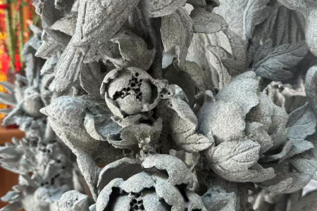 百鸟朝凤