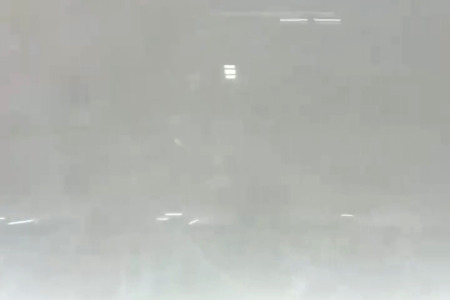 白玉兰