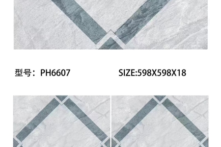 PH6607