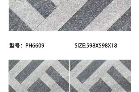 PH6609