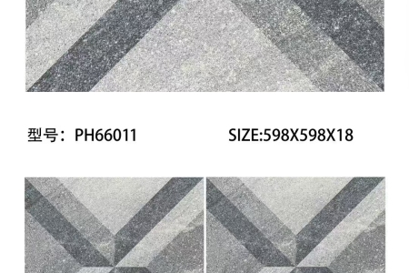 PH66011