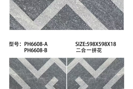 PH6608