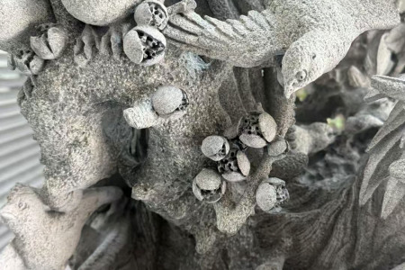百鸟朝凤