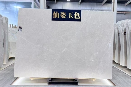 极品白玉兰