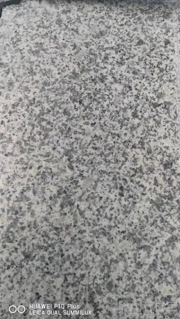 湖南芝麻白