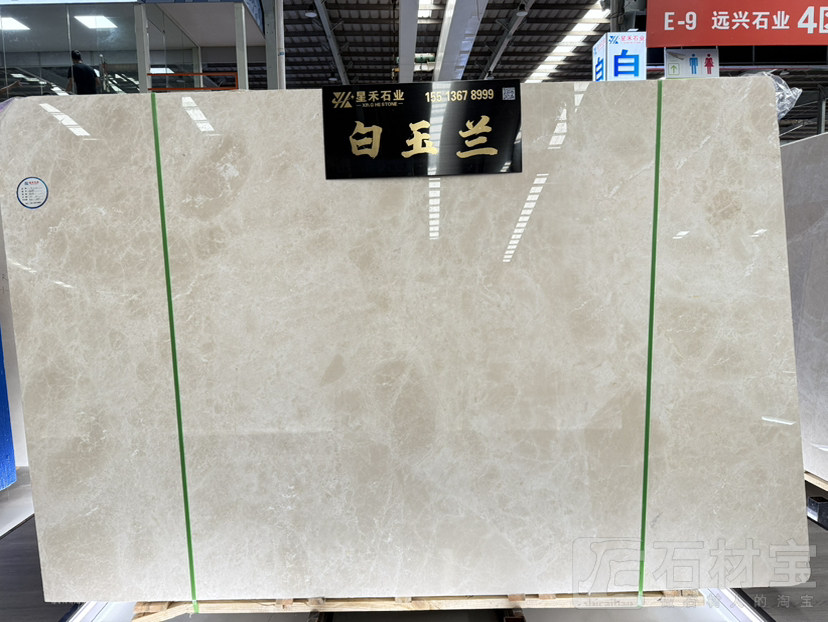 白玉兰