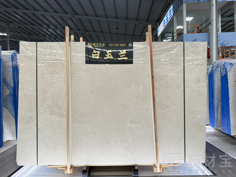 白玉兰