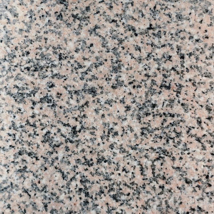 朝阳红光面
