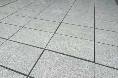 美国白金荔枝面