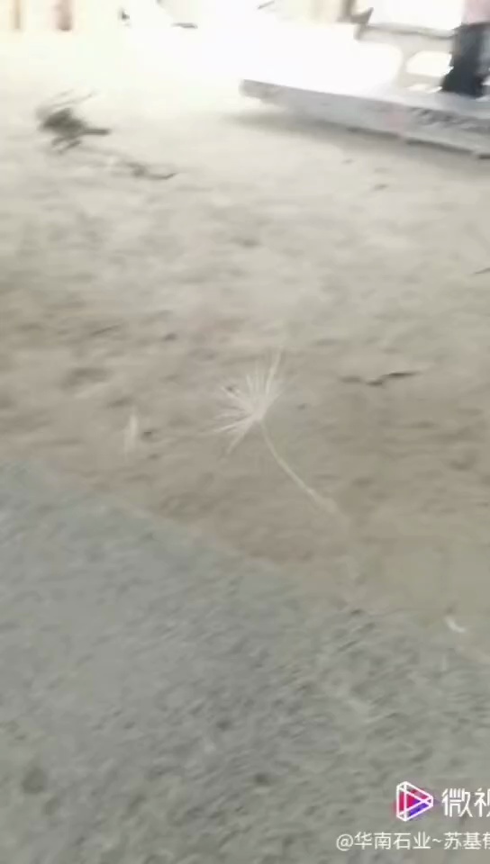 芝麻灰光面、芝麻白光面、海浪花火烧面、拼装一车走起