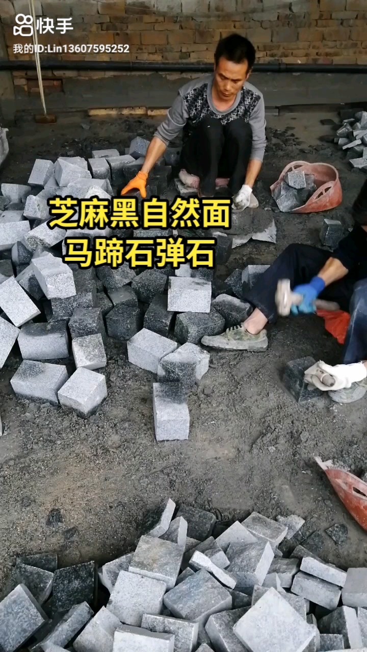 芝麻黑小蓝宝