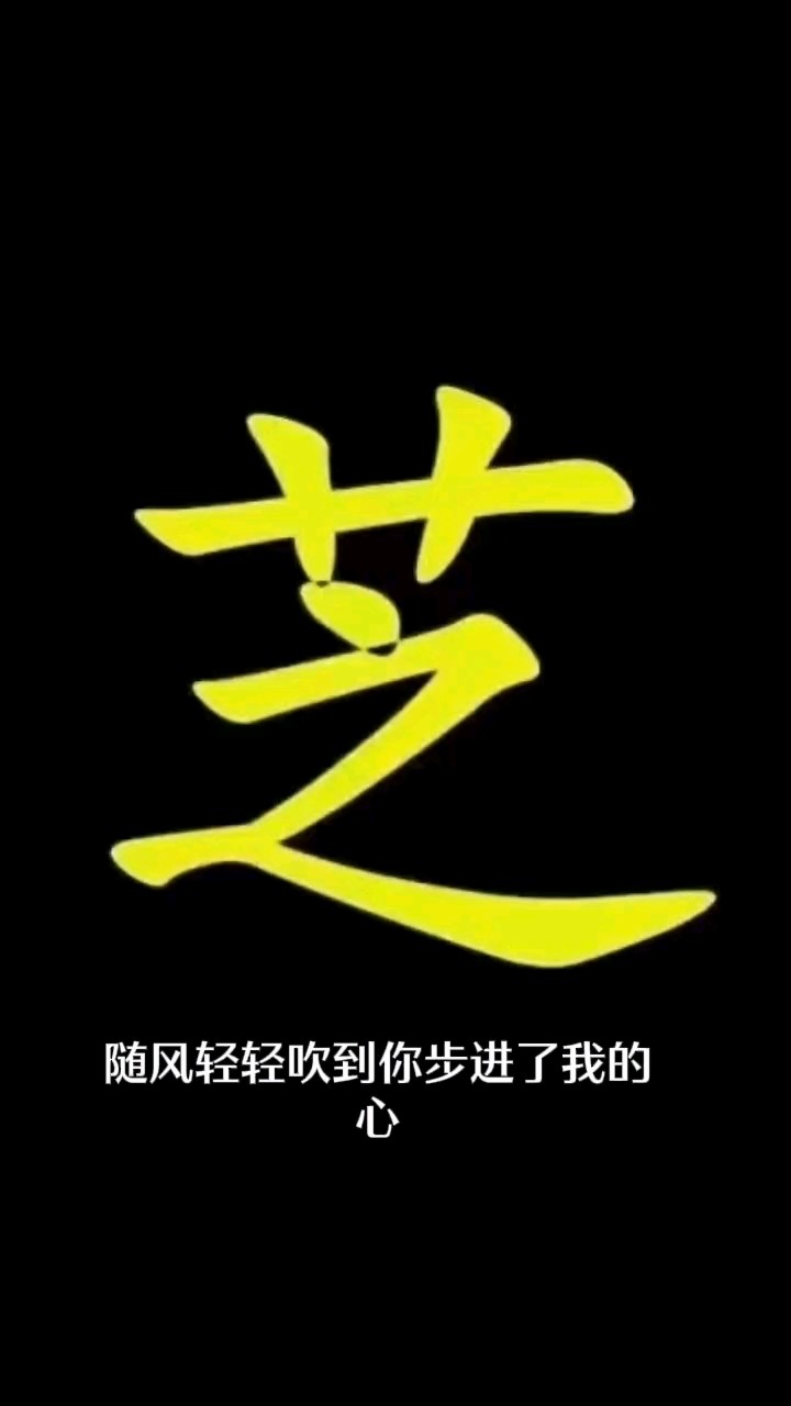芝麻黑小蓝宝