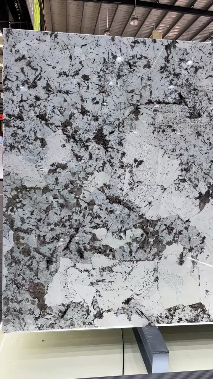 白底雪山兰
