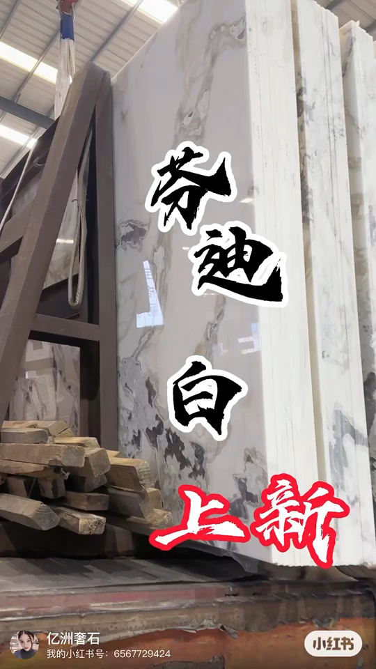 芬迪白