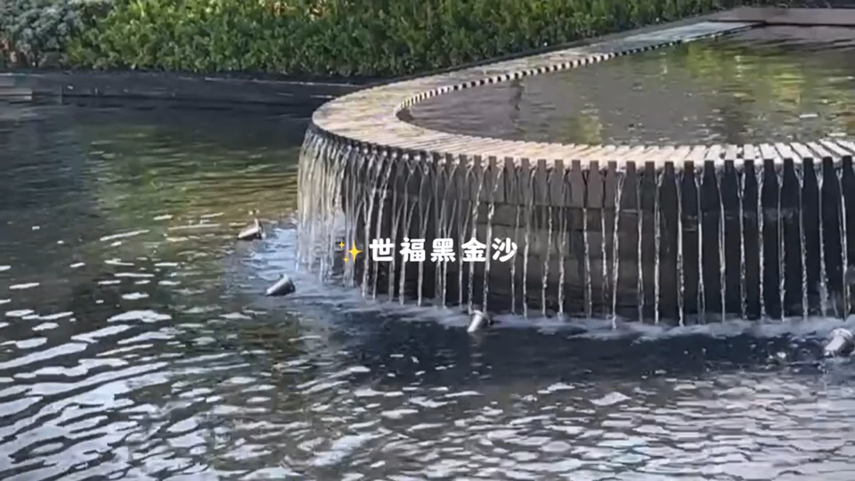 世福黑金沙