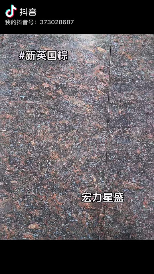 主营英国蓝棕蝴蝶兰紫晶黑蓝彩蝶灰麻蓝钻蓝天白云紫点金麻七星