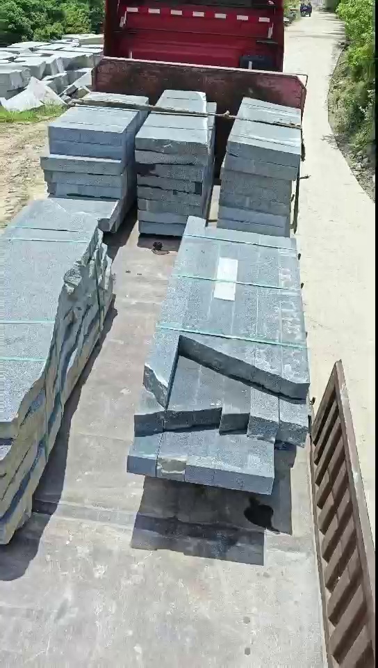 福建芝麻黑、福建小蓝宝、宁德芝麻黑、屏南芝麻黑、小蓝宝、中国小蓝宝、新芝麻黑、新