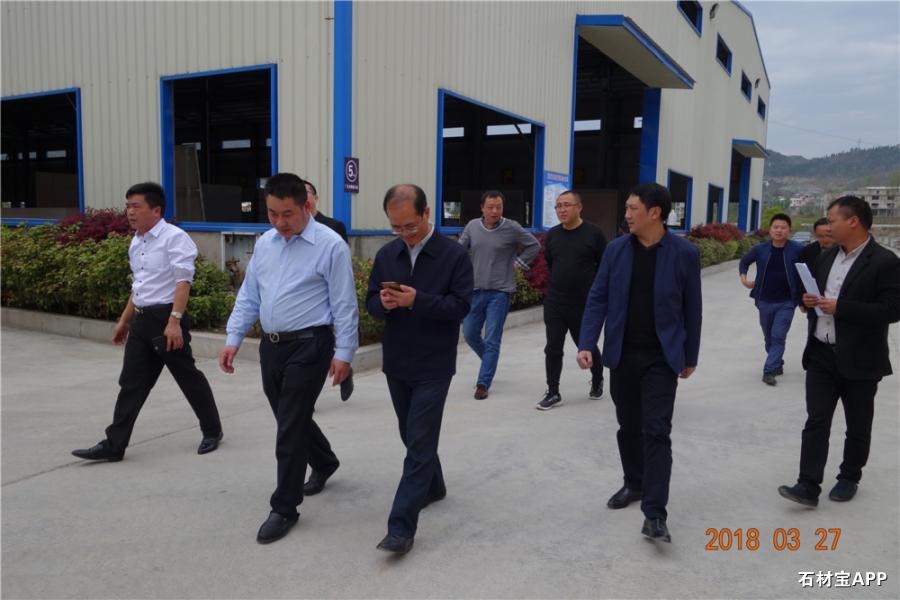 副市长杨同光调研