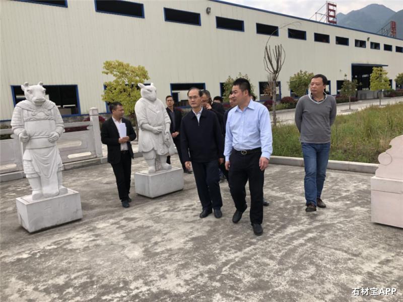 副市长杨同光调研