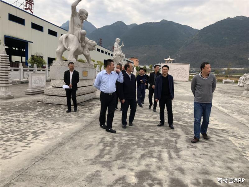 副市长杨同光调研