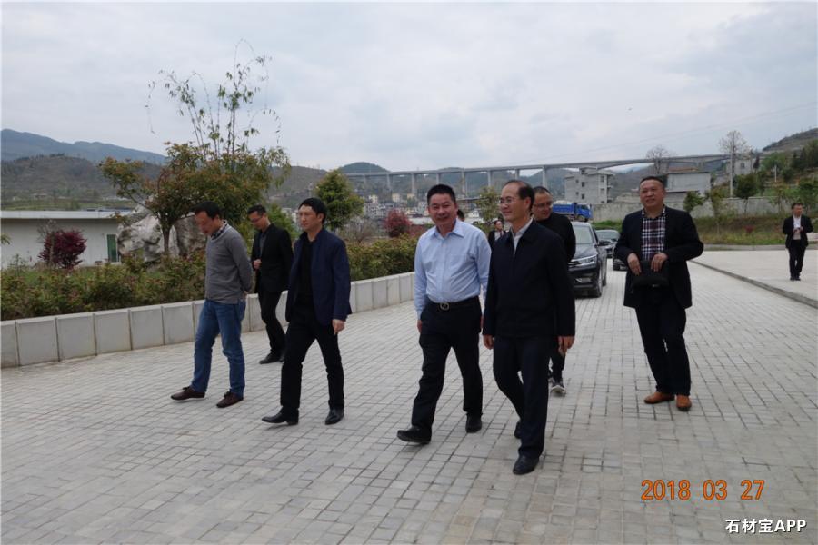 杨同光市长、林涛副县长