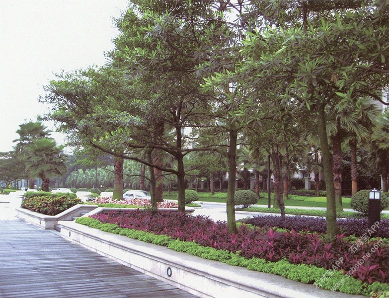 园林景观/市政景观